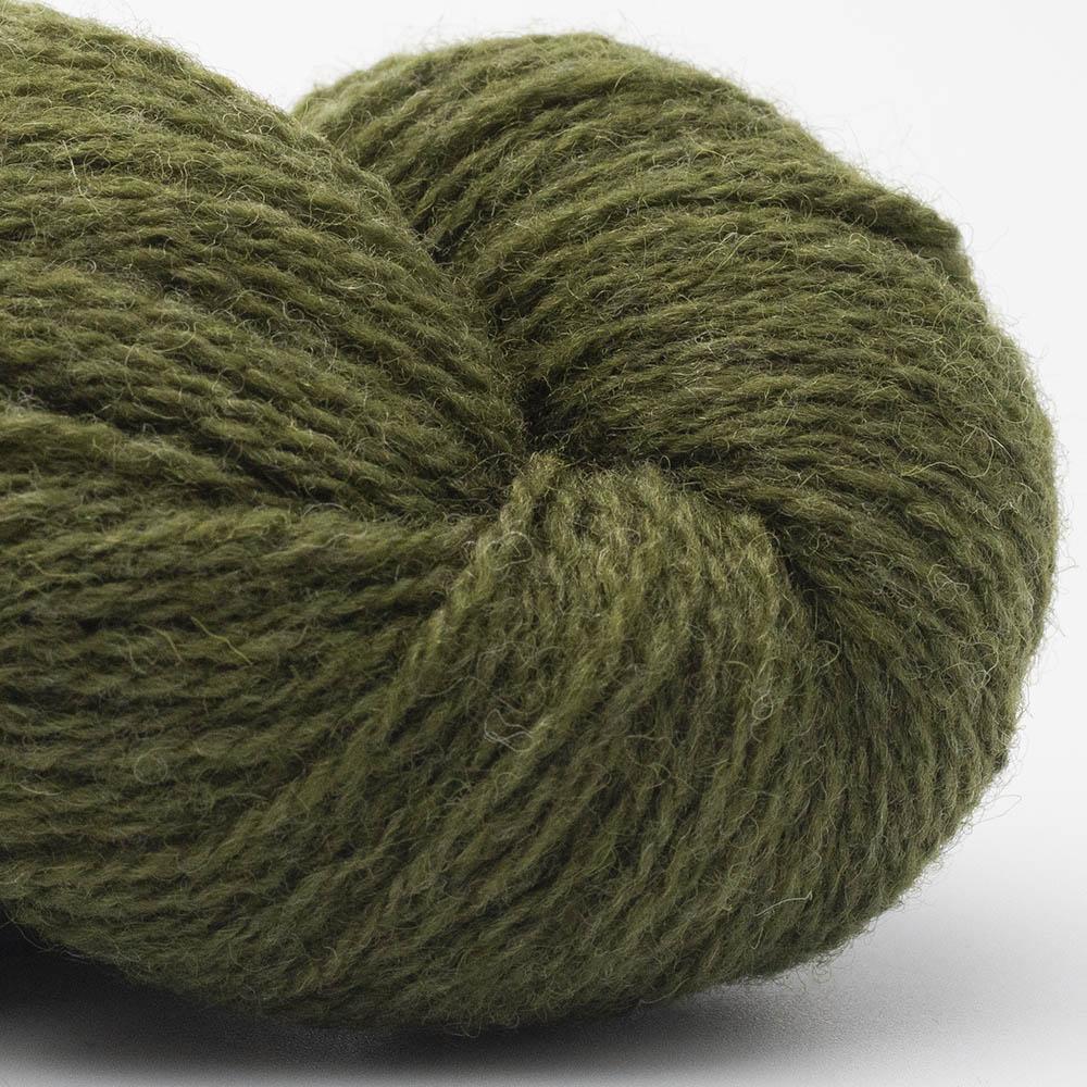 Bio Shetland 09 - Olive