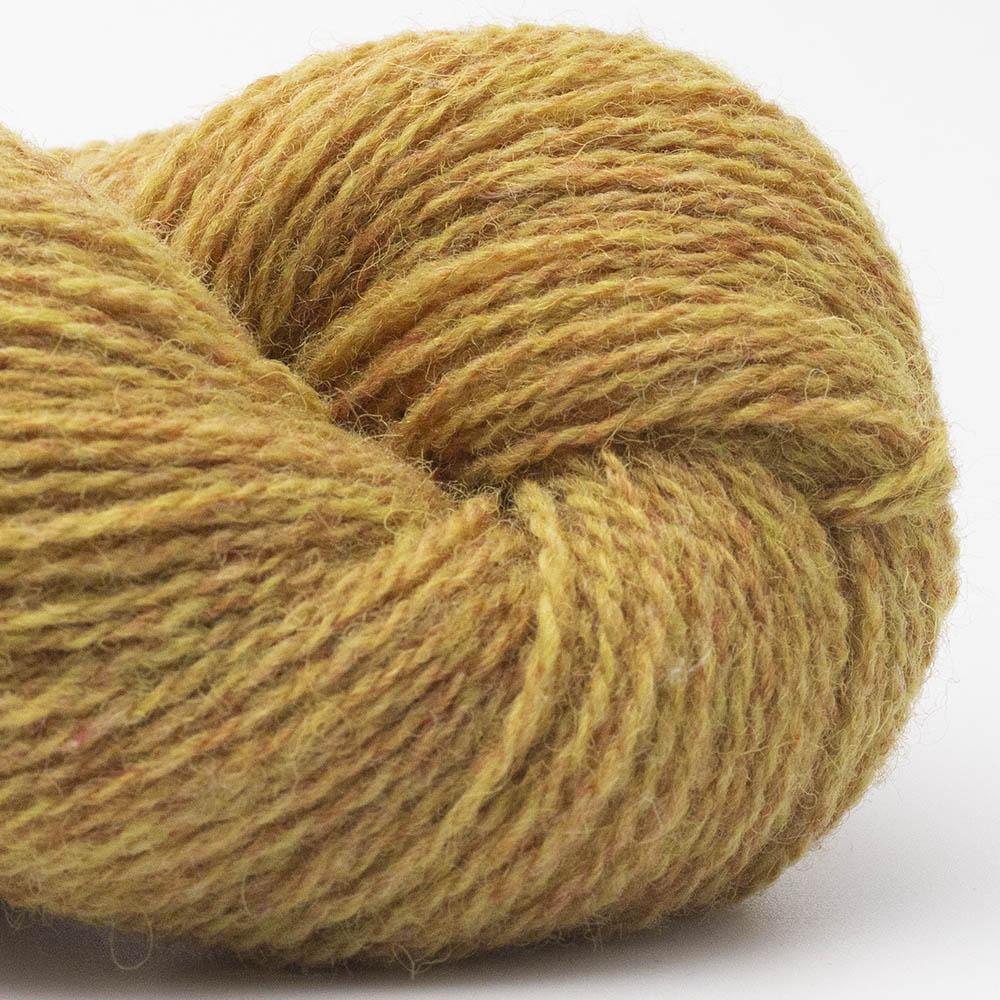 Bio Shetland 50 - Moutarde