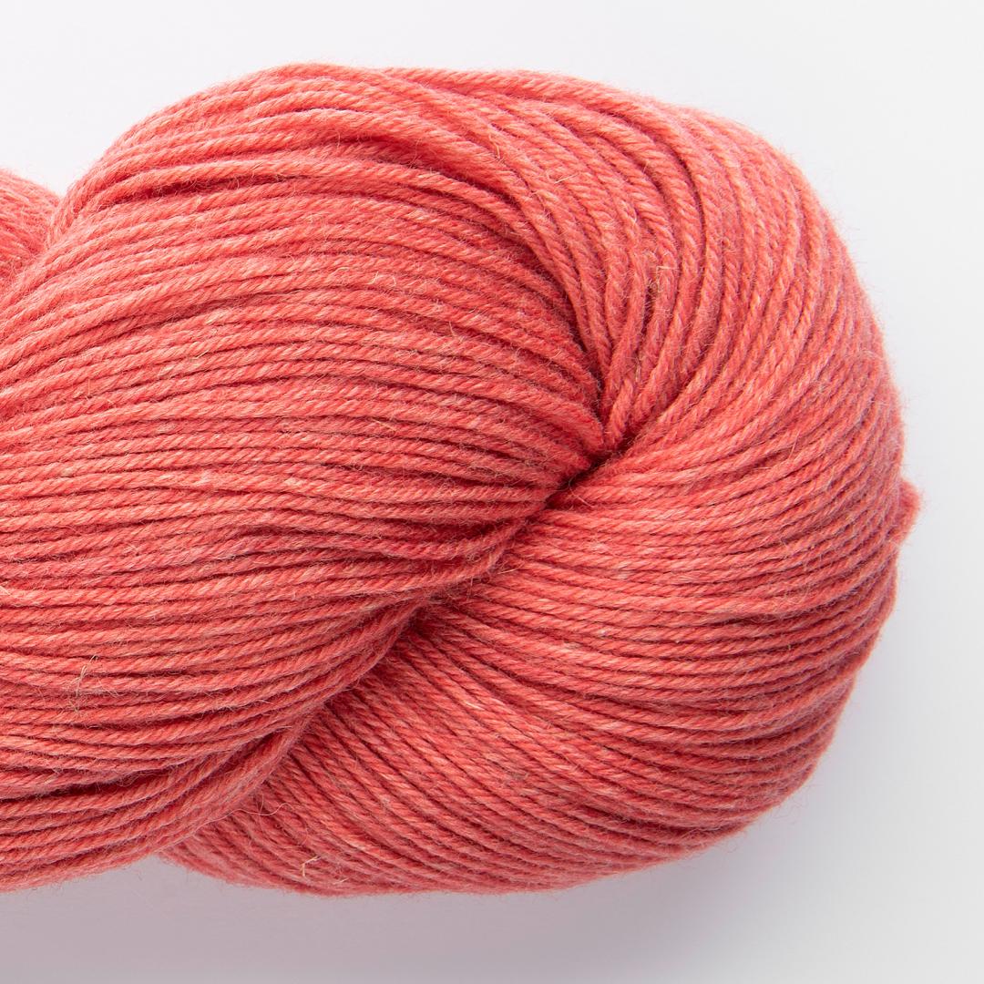 Chaski 1713 - Corail