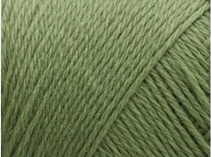 Arwetta 243 - Basswood Green