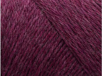 Arwetta 807 - Boysenberry
