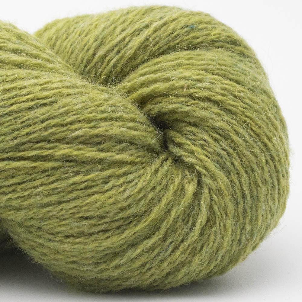 Bio Shetland 10 - Herbe
