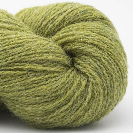 Bio Shetland 10 - Herbe