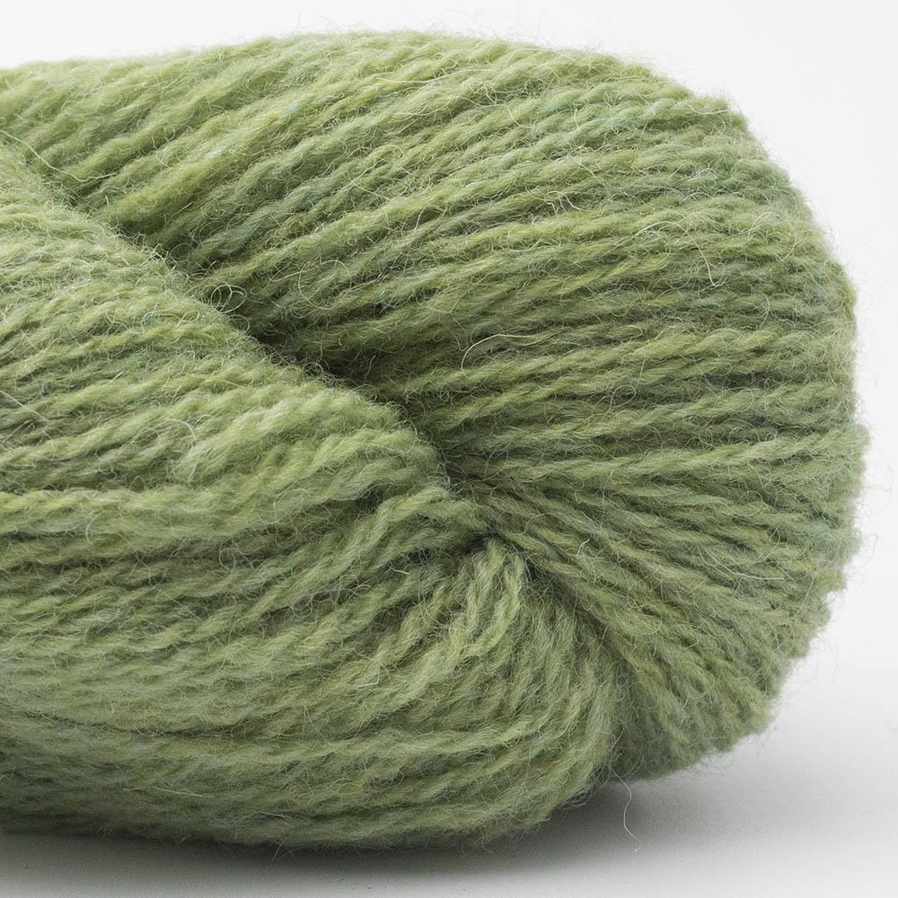 Bio Shetland 11 - Citron vert