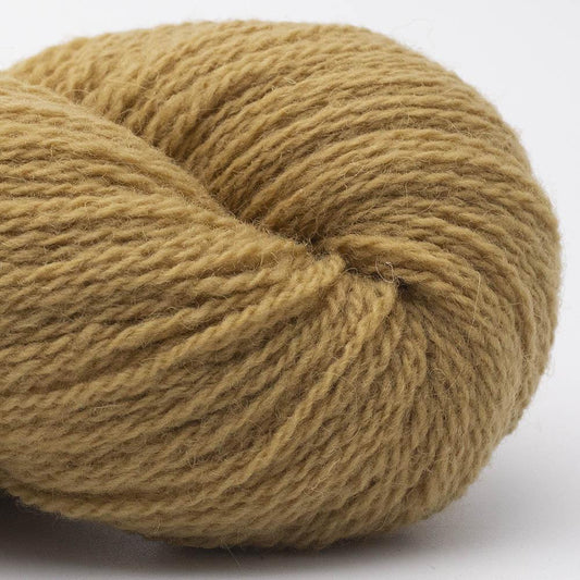 Bio Shetland 47 - Curry