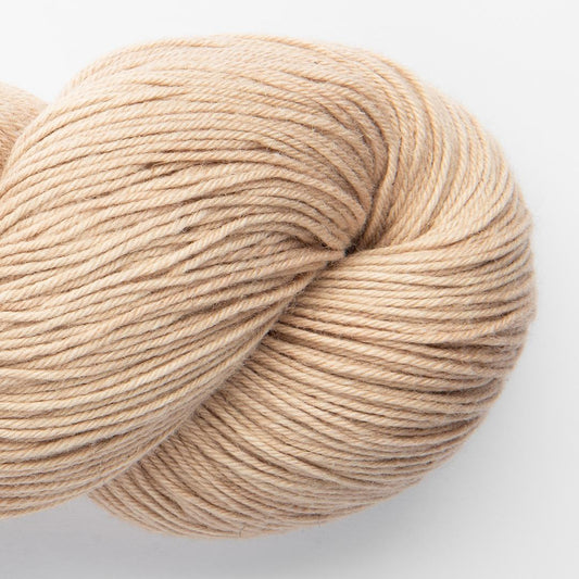 Chaski 1700 - Coquille
