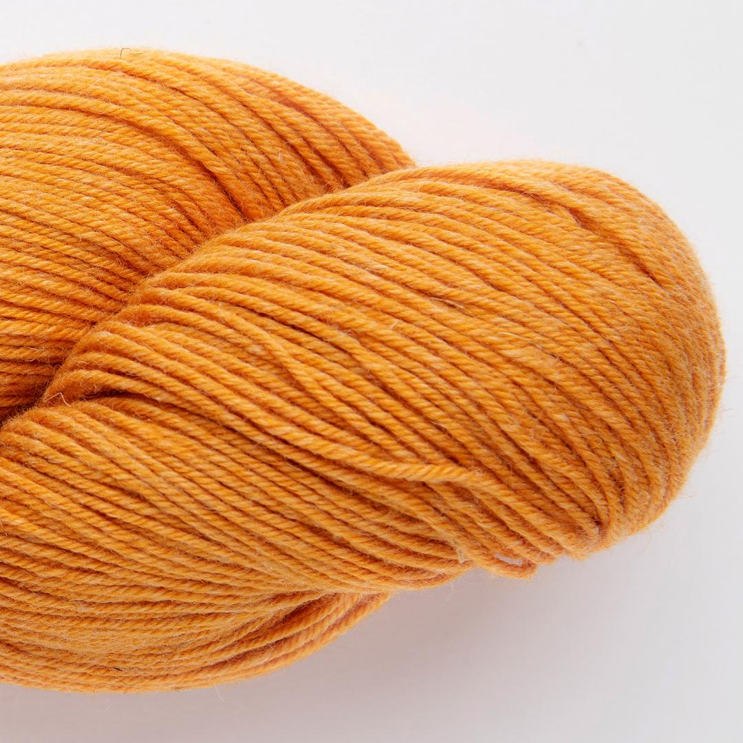 Chaski 1720 - Nectarine