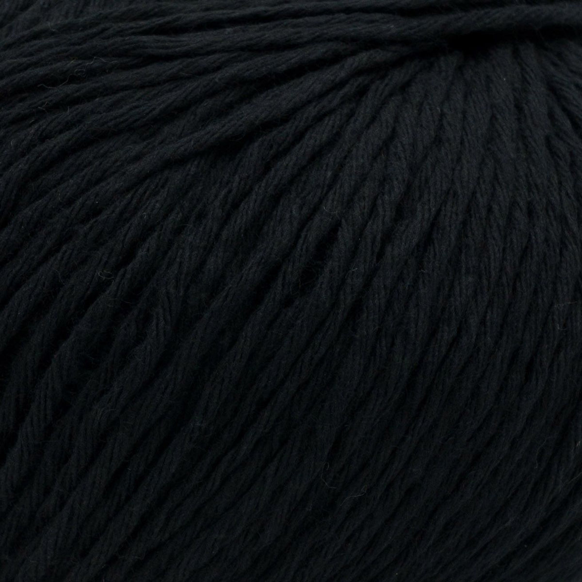 Ecotone - 025