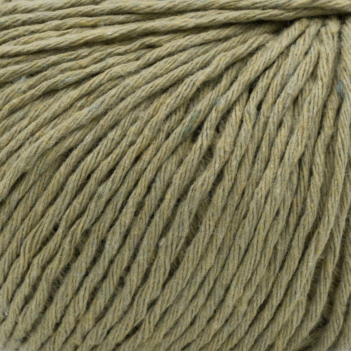 Ecotone - 037