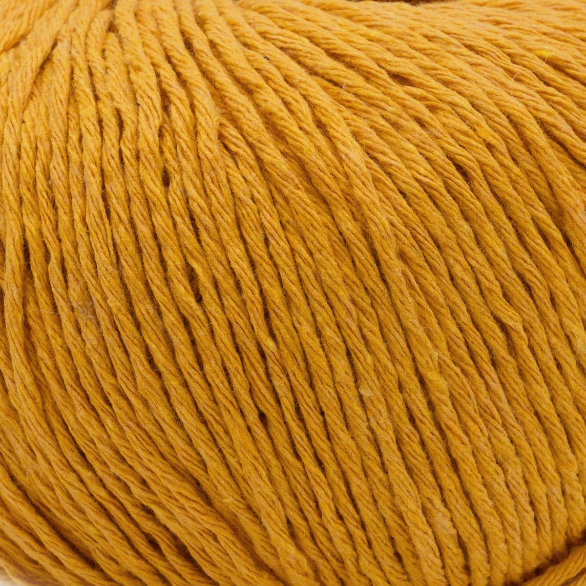 Ecotone - 062
