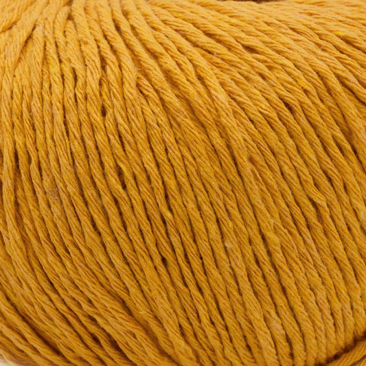 Ecotone - 062