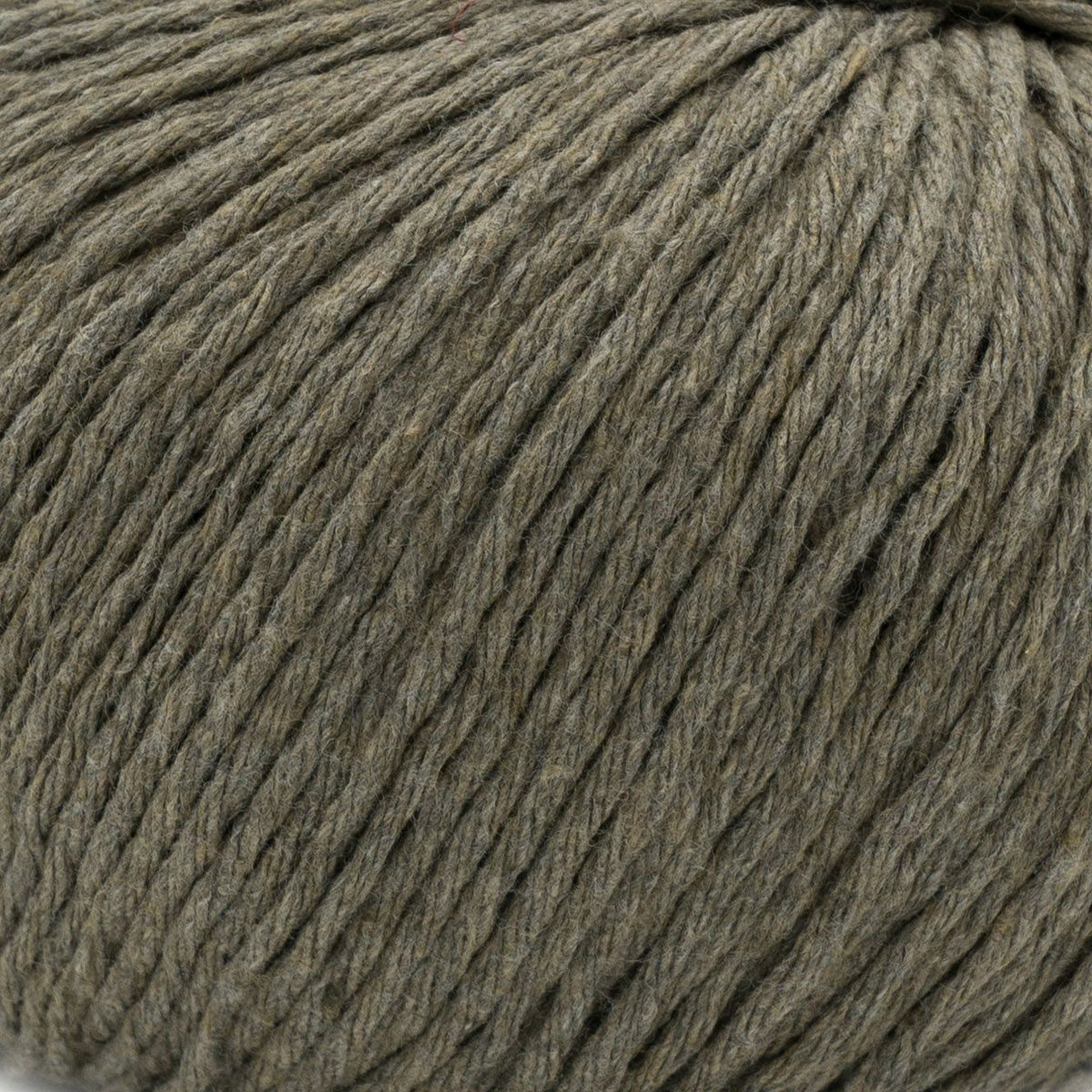 Ecotone - 069