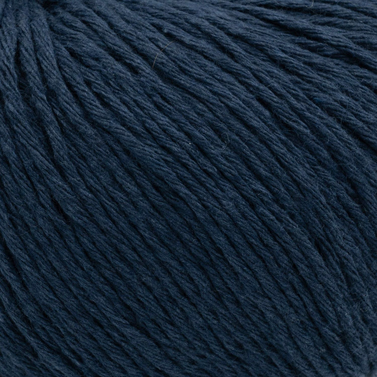 Ecotone - 107