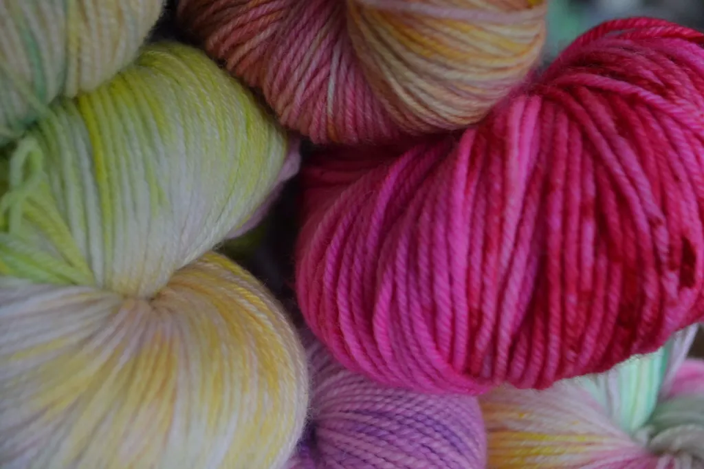 ECHEVEAU PREF DE PRES.webp