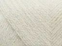 VJ100.webp